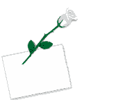une lettre pour toi
